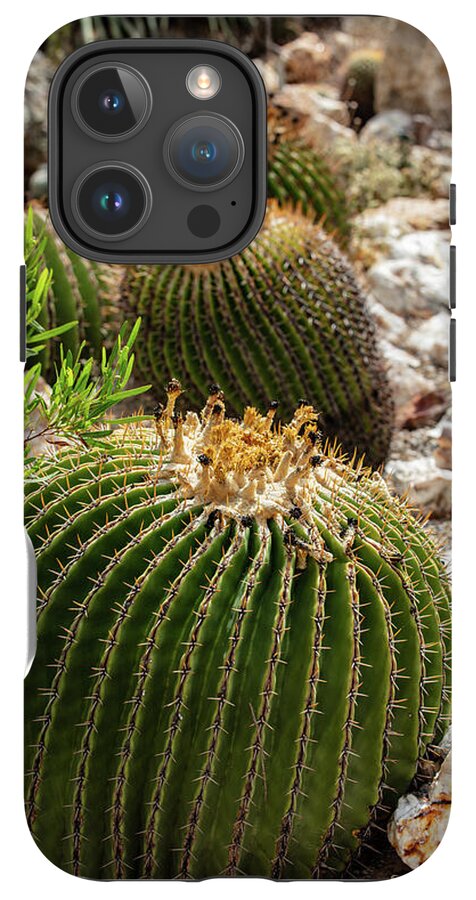 Cacti - Phone Case