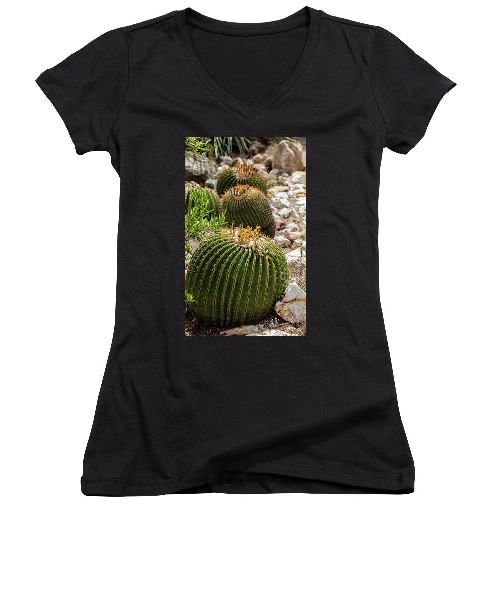 Cacti - Women's V-Neck