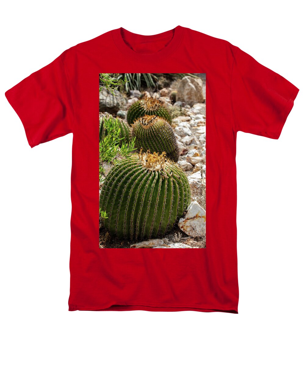 Cacti - Men's T-Shirt  (Regular Fit)