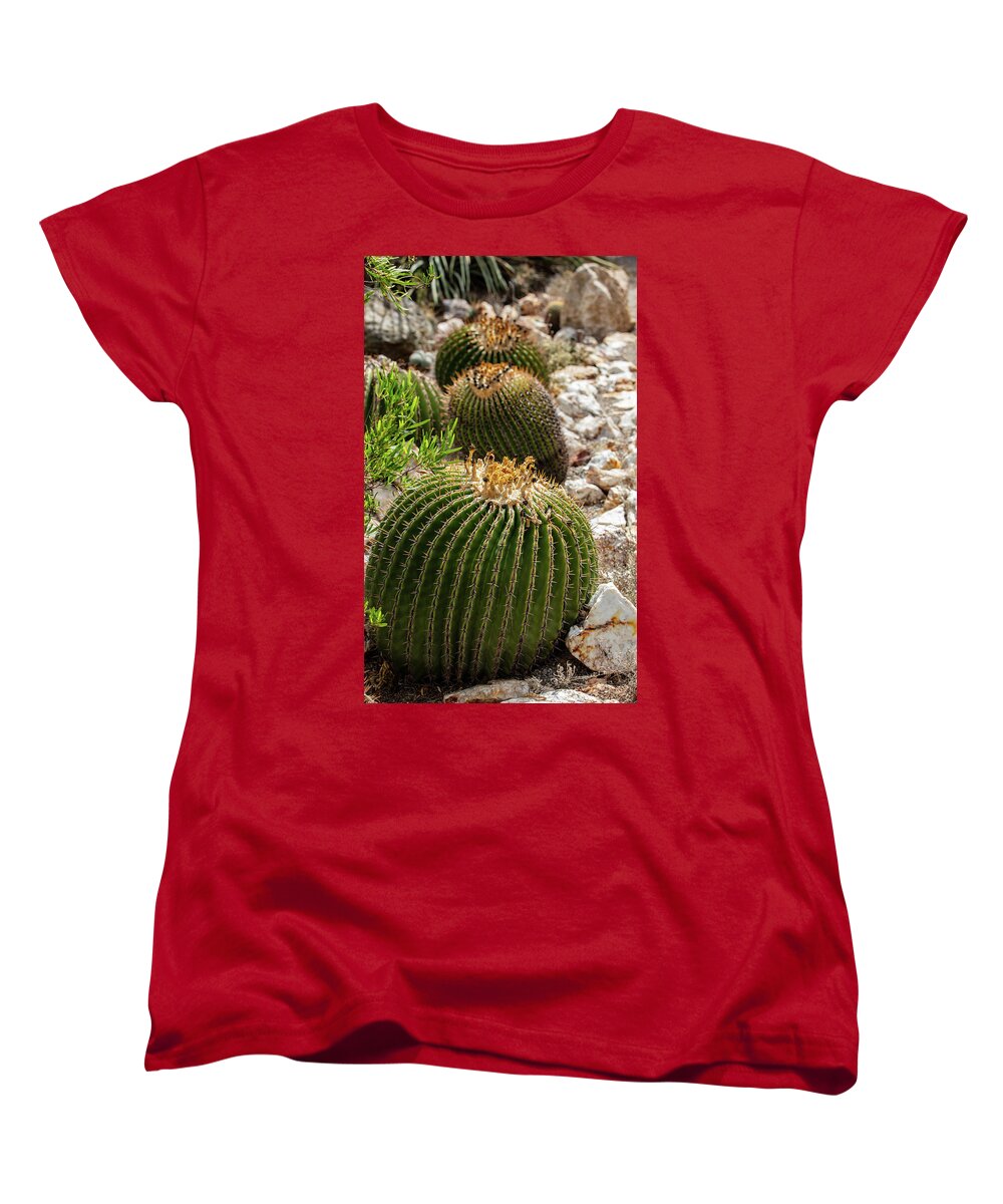 Cacti - Women's T-Shirt (Standard Fit)