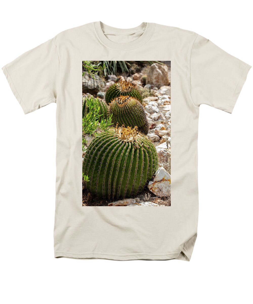 Cacti - Men's T-Shirt  (Regular Fit)