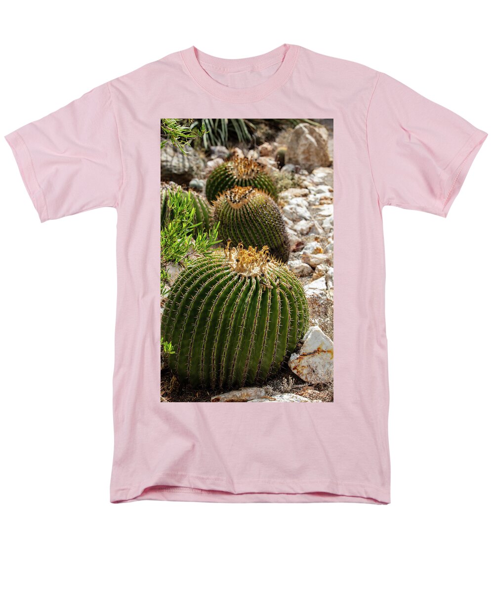 Cacti - Men's T-Shirt  (Regular Fit)