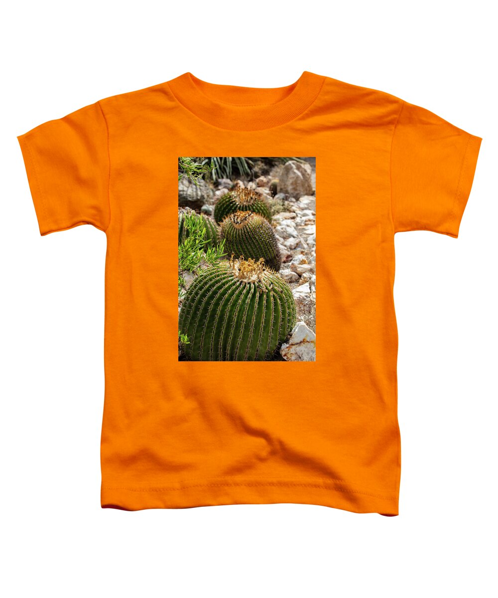 Cacti - Toddler T-Shirt