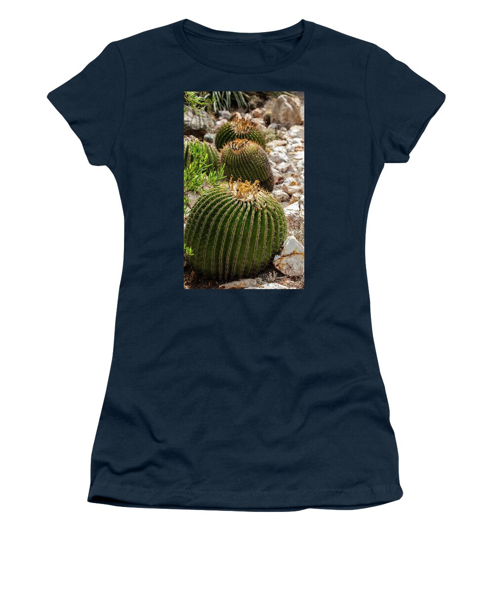 Cacti - Women's T-Shirt