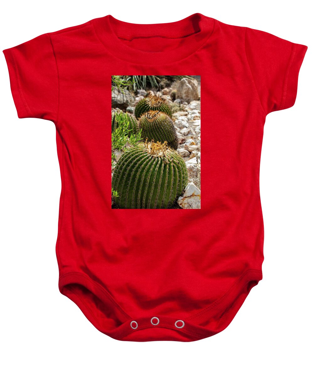 Cacti - Baby Onesie