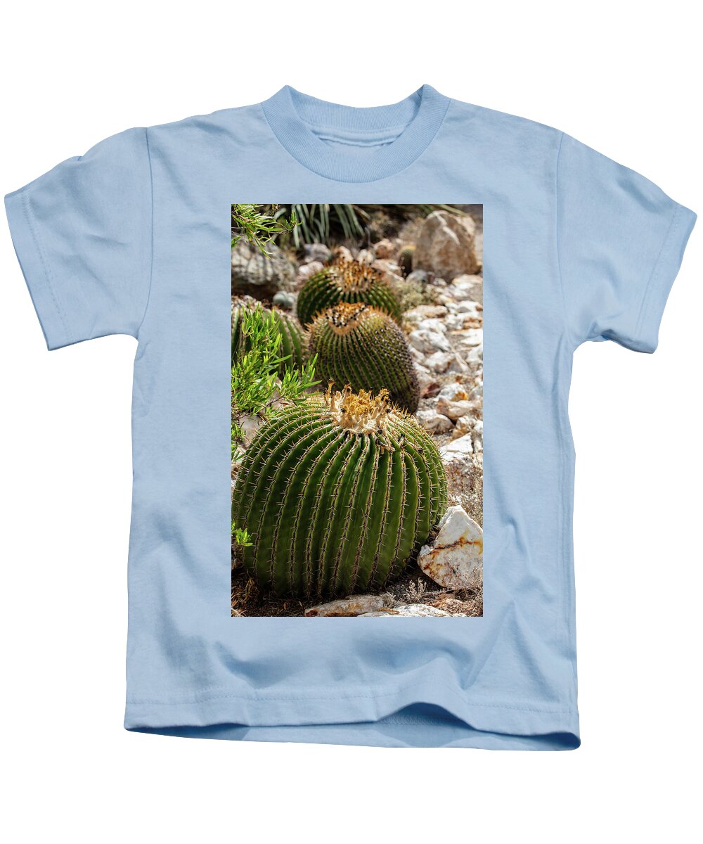 Cacti - Kids T-Shirt