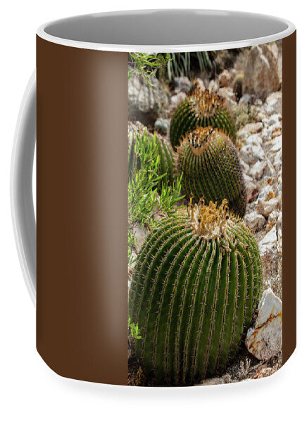 Cacti - Mug