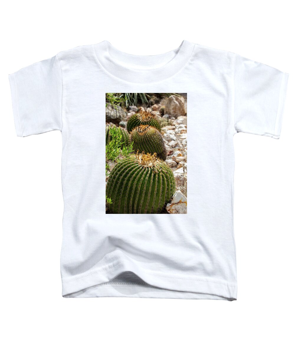 Cacti - Toddler T-Shirt