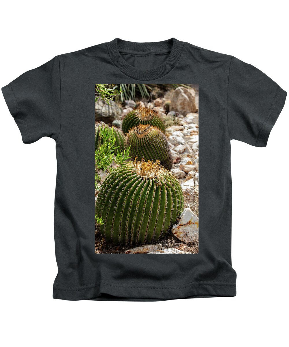 Cacti - Kids T-Shirt
