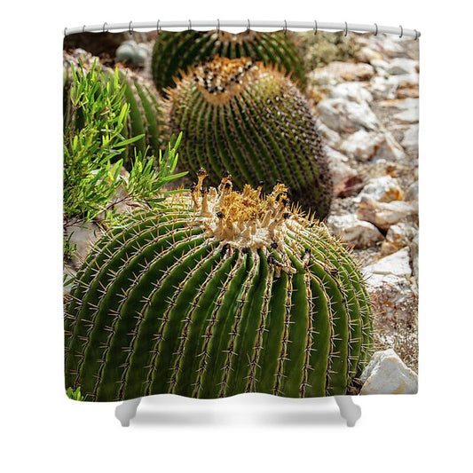 Cacti - Shower Curtain
