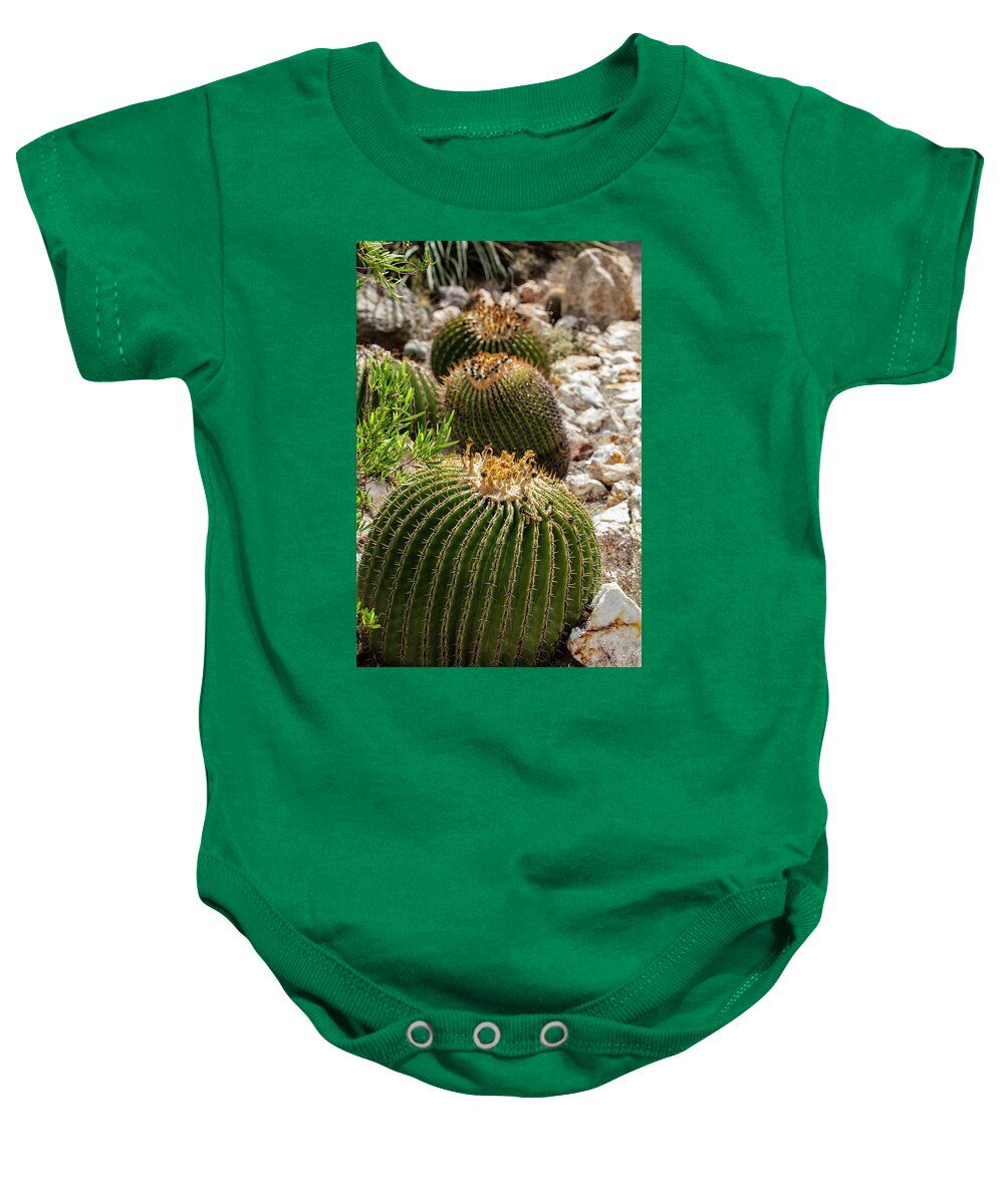 Cacti - Baby Onesie