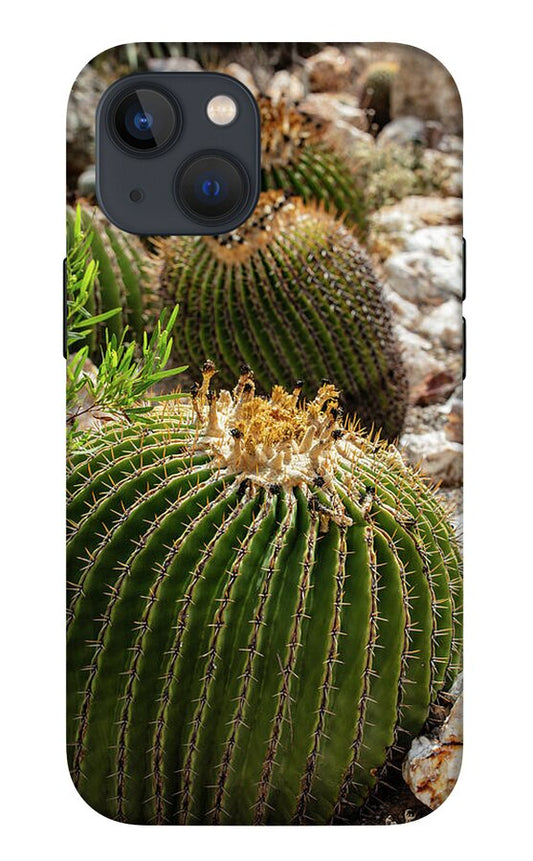 Cacti - Phone Case