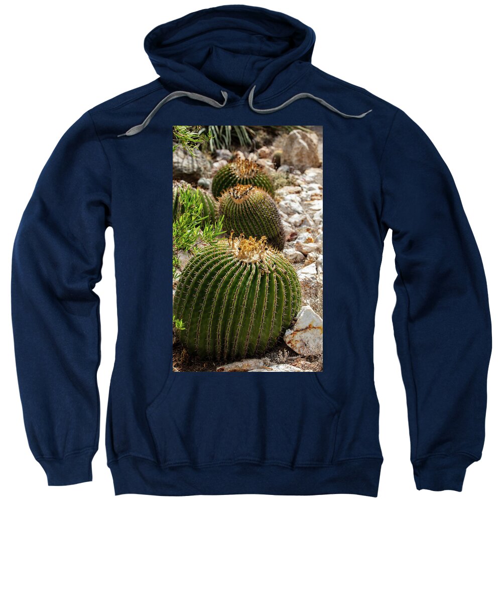 Cacti - Sweatshirt