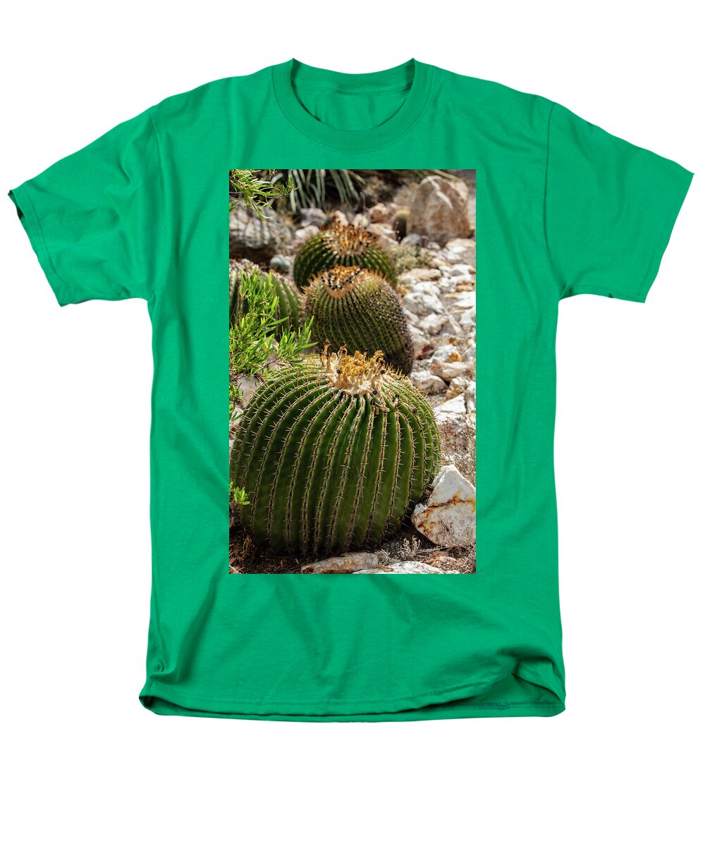 Cacti - Men's T-Shirt  (Regular Fit)
