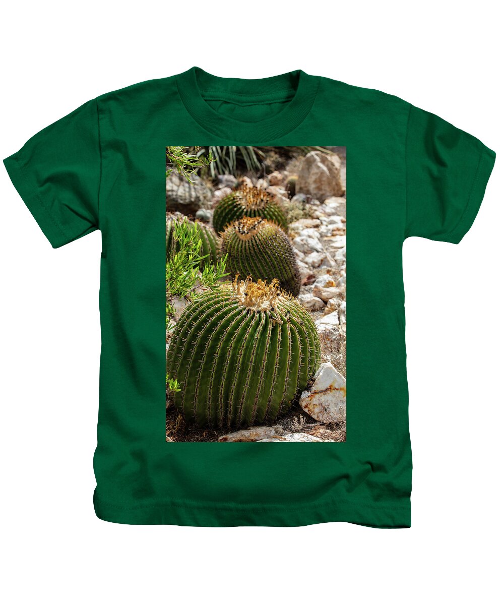Cacti - Kids T-Shirt