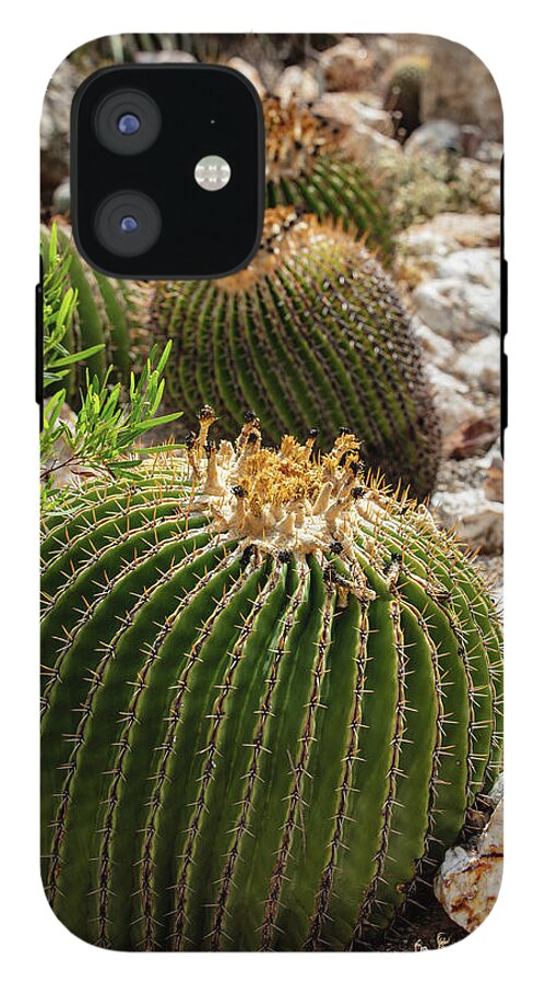 Cacti - Phone Case