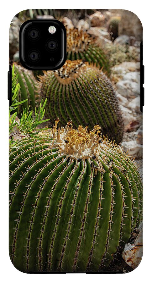 Cacti - Phone Case