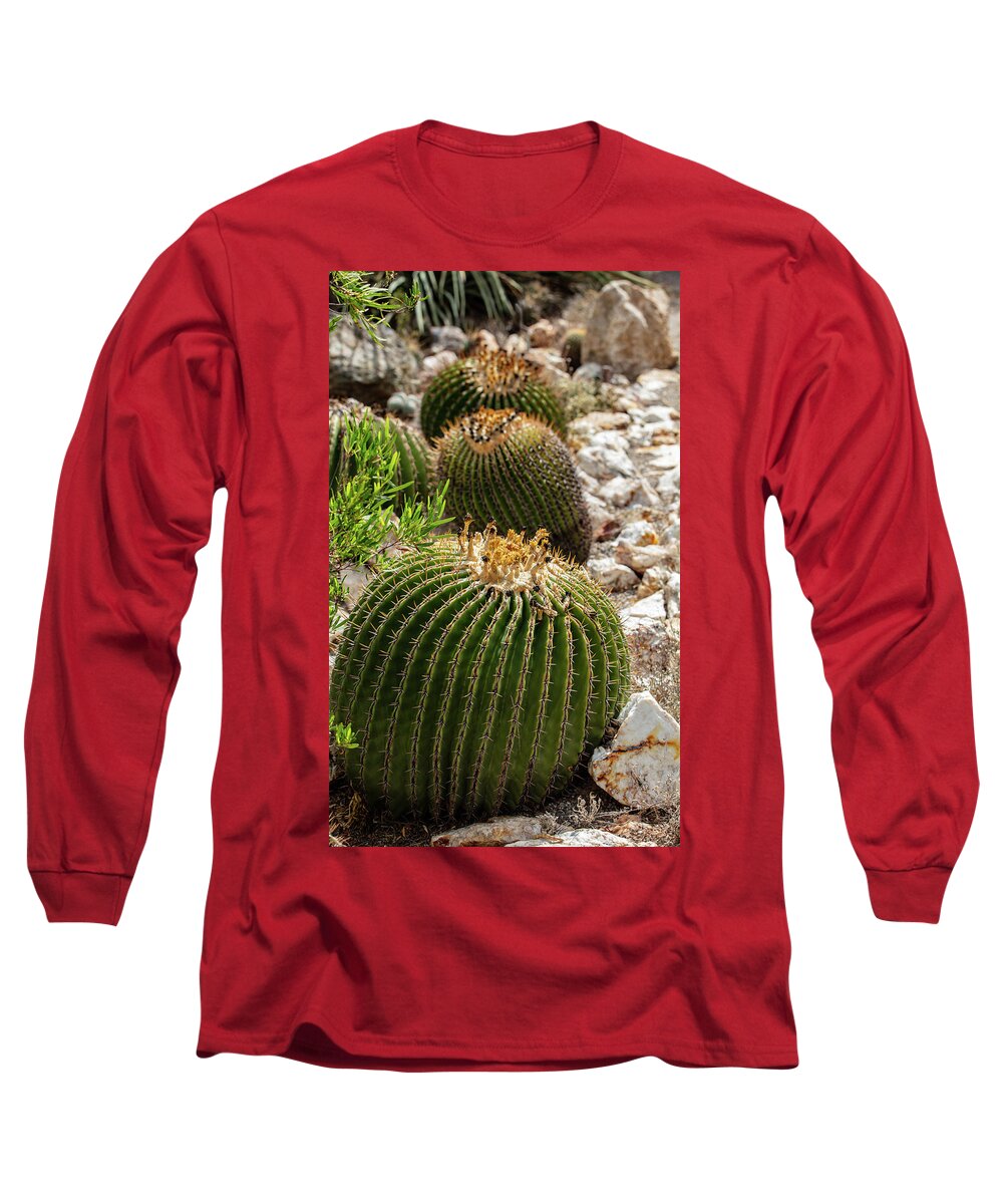 Cacti - Long Sleeve T-Shirt