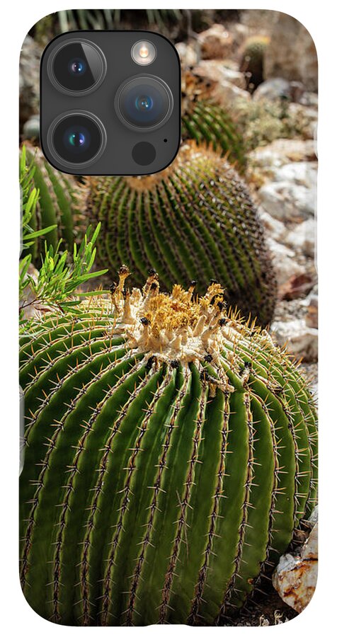Cacti - Phone Case