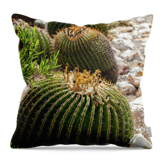Cacti - Throw Pillow