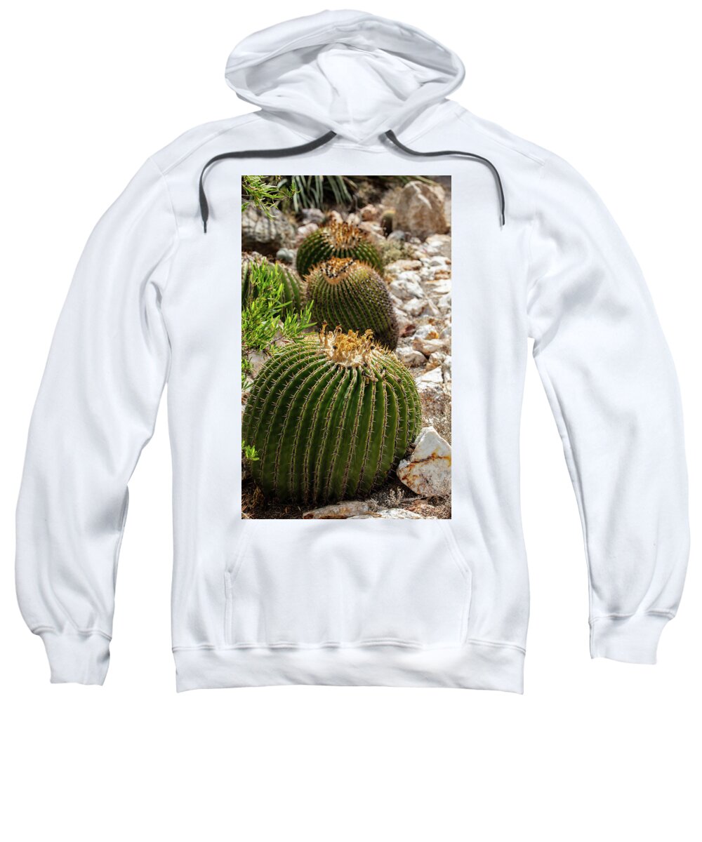 Cacti - Sweatshirt