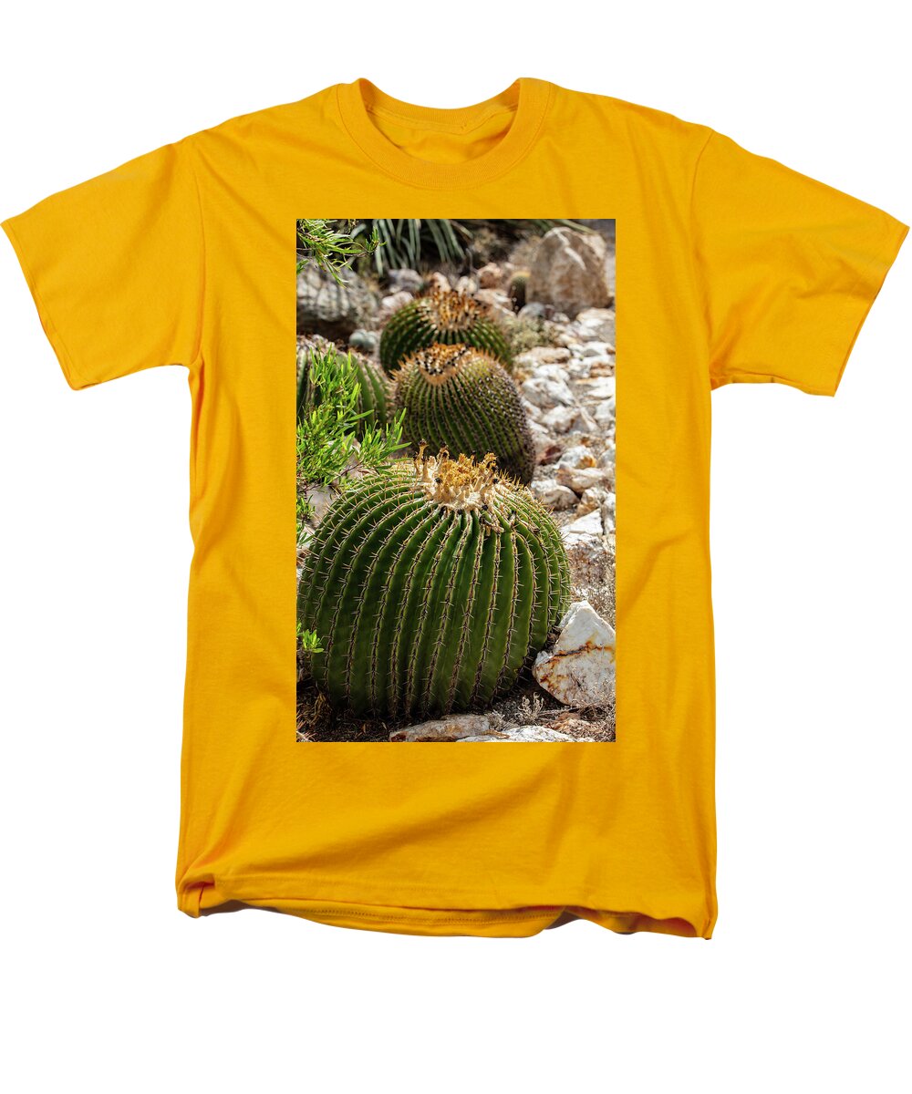 Cacti - Men's T-Shirt  (Regular Fit)