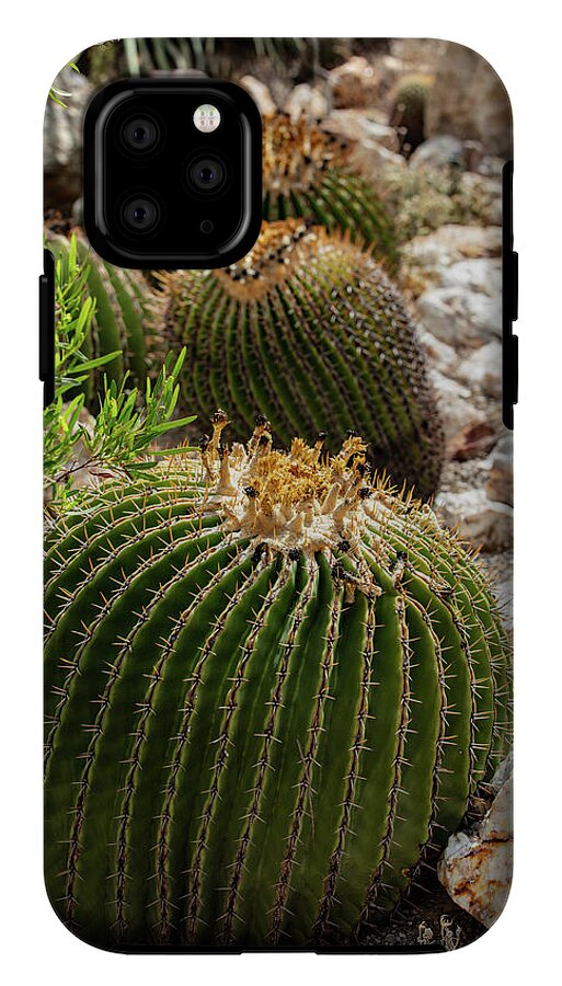 Cacti - Phone Case