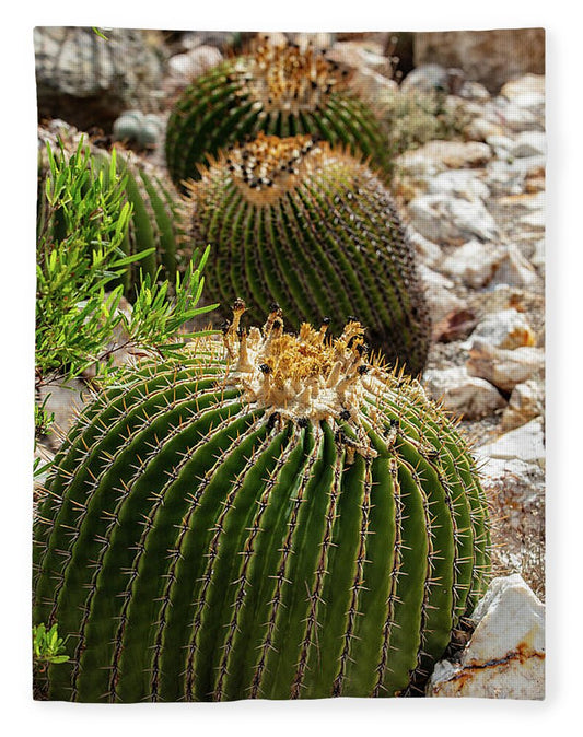 Cacti - Blanket