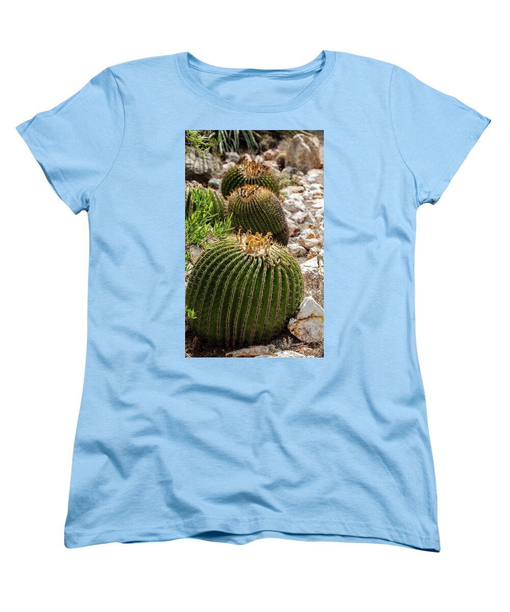 Cacti - Women's T-Shirt (Standard Fit)