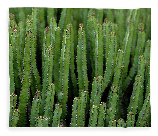 Cacti V - Blanket