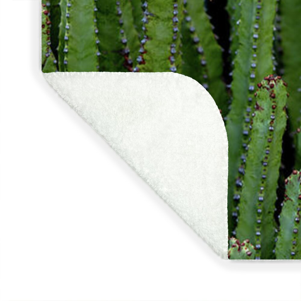 Cacti V - Blanket