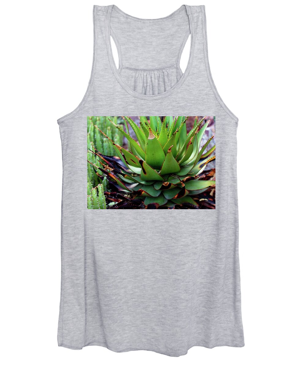 Cacti VI - Women's Tank Top