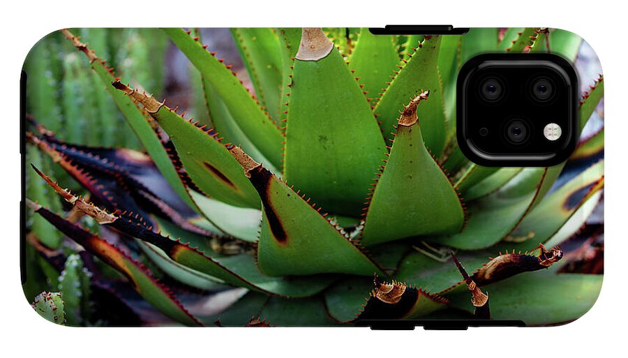 Cacti VI - Phone Case