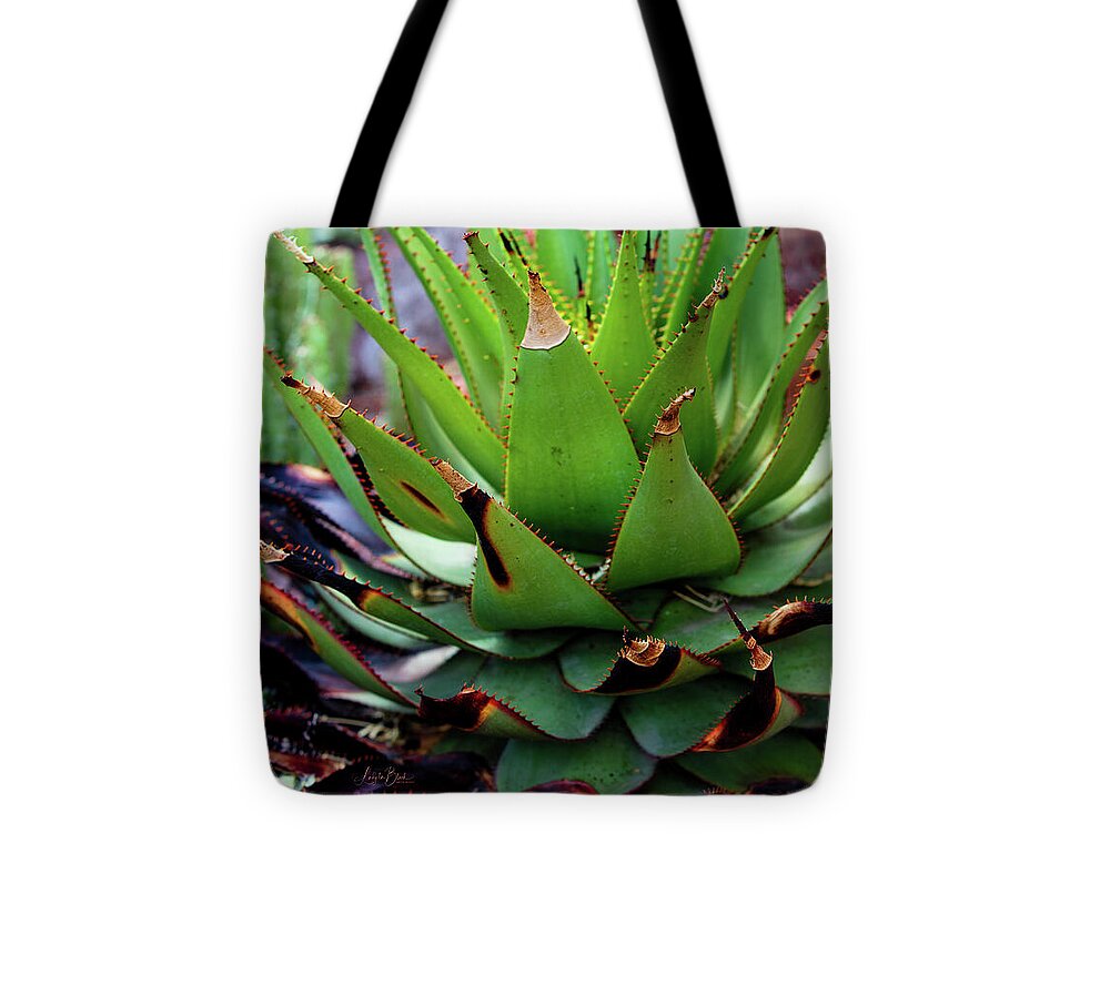 Cacti VI - Tote Bag
