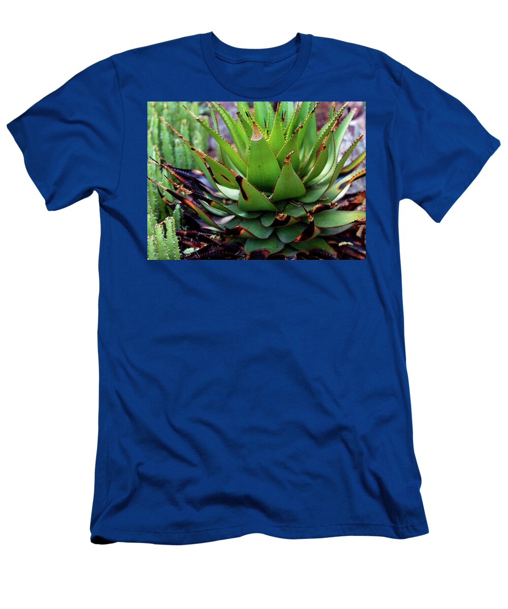 Cacti VI - T-Shirt