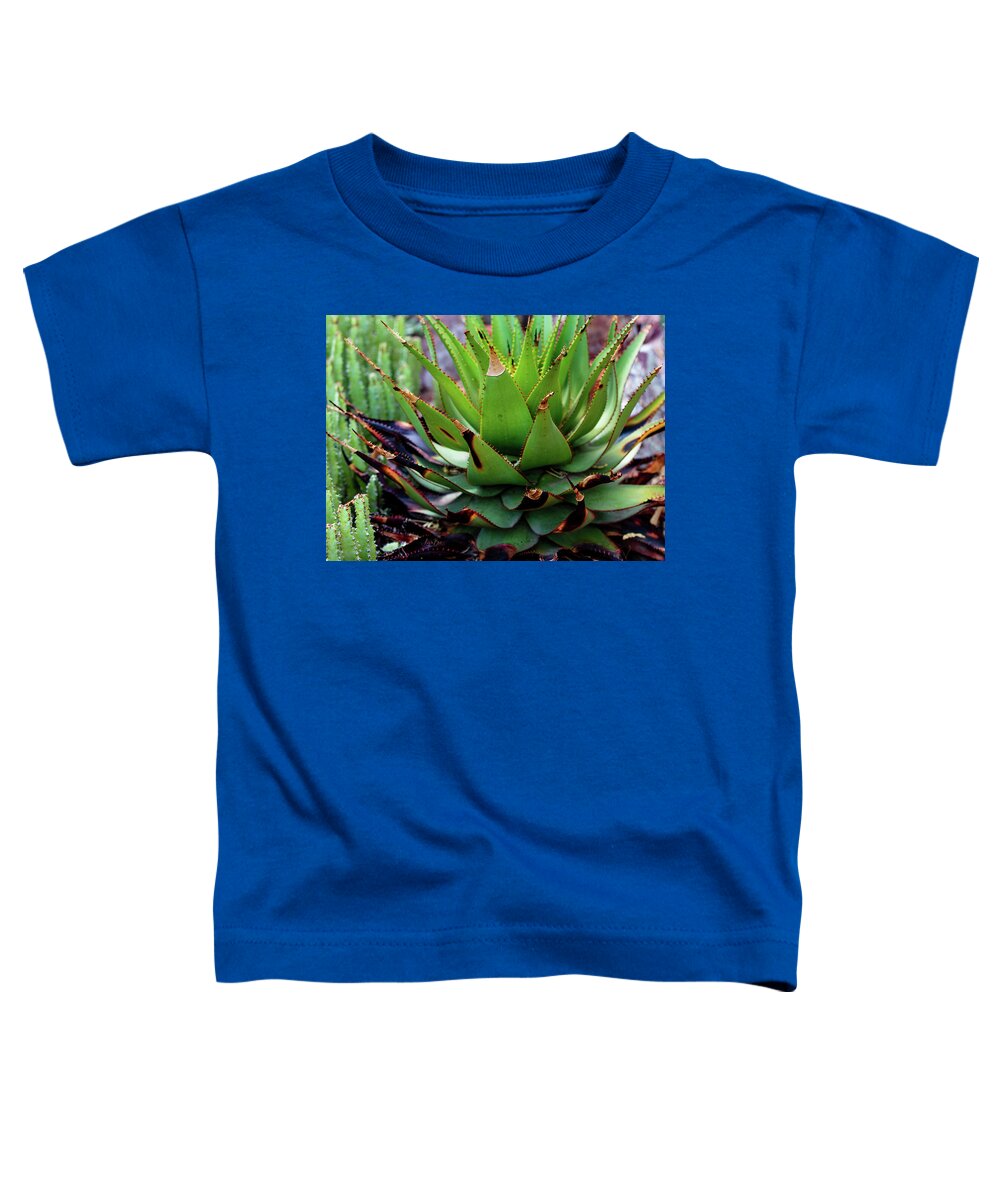 Cacti VI - Toddler T-Shirt