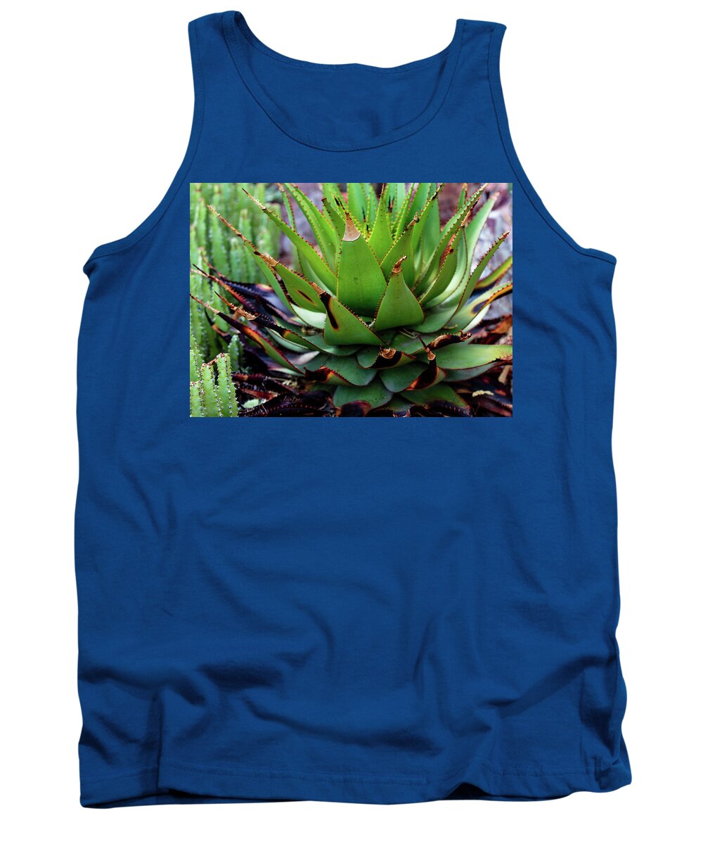 Cacti VI - Tank Top
