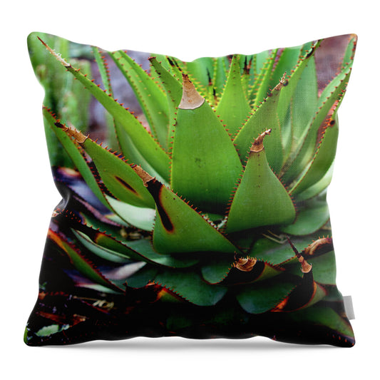 Cacti VI - Throw Pillow