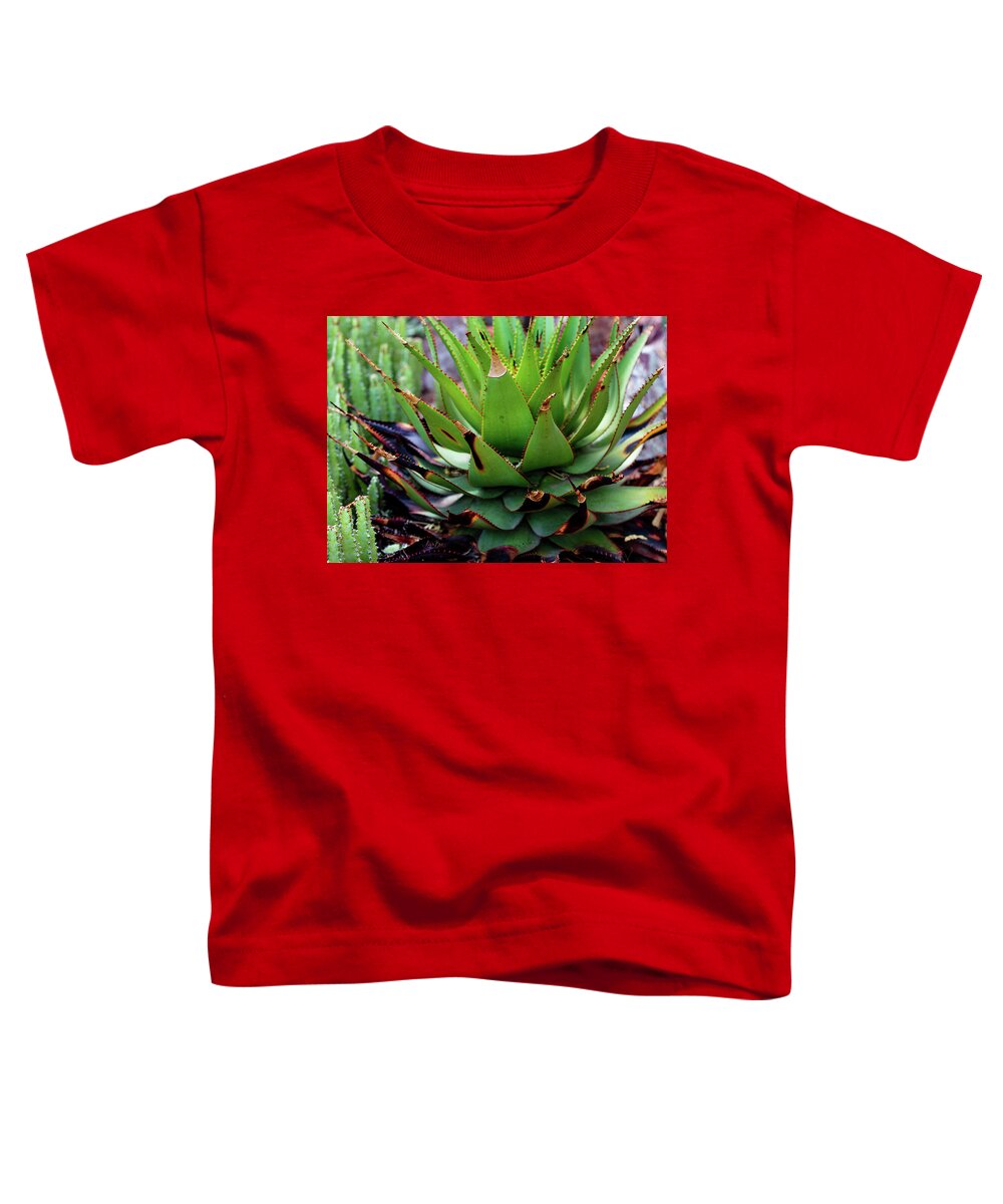 Cacti VI - Toddler T-Shirt