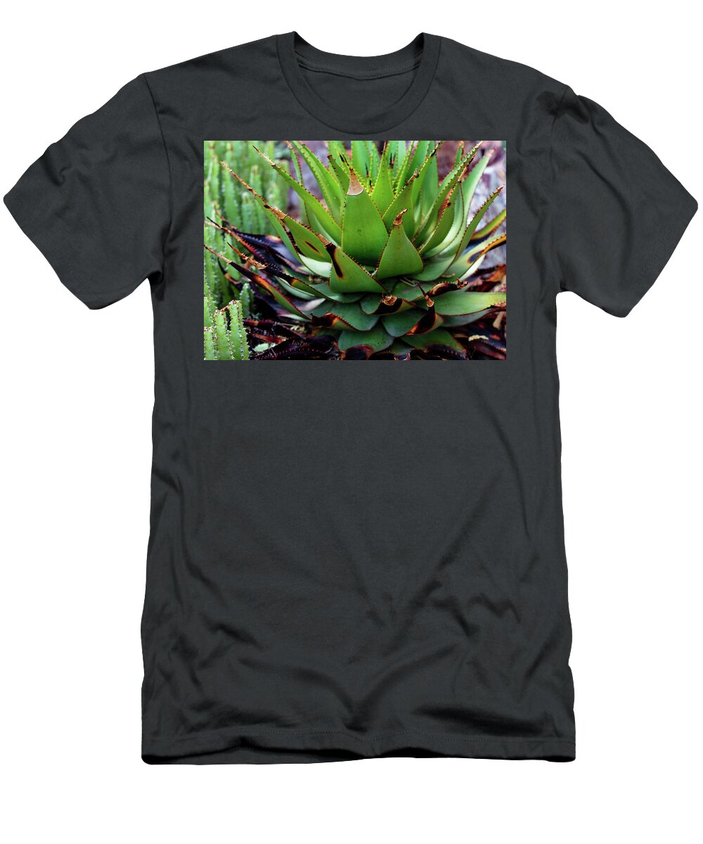 Cacti VI - T-Shirt