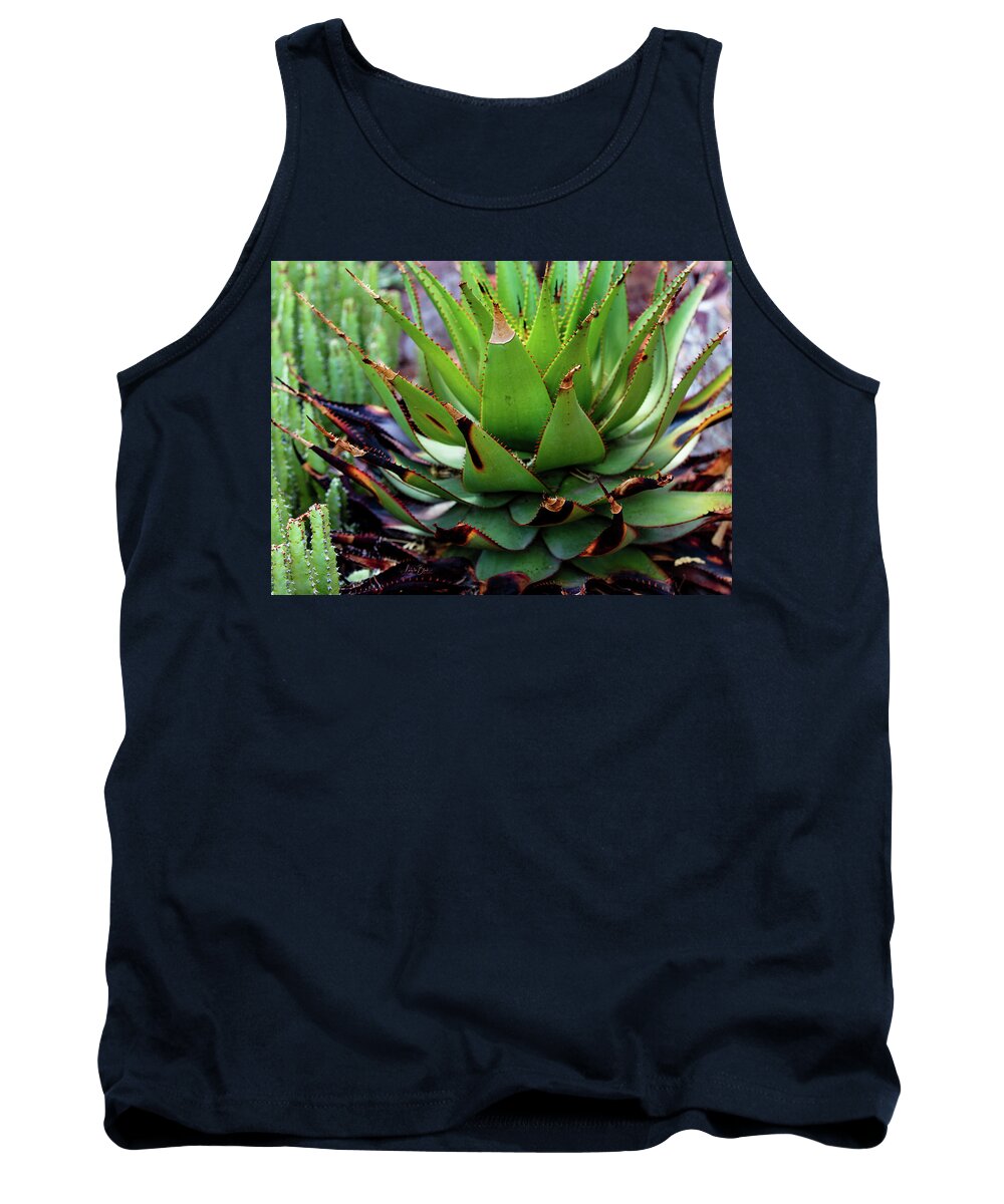 Cacti VI - Tank Top