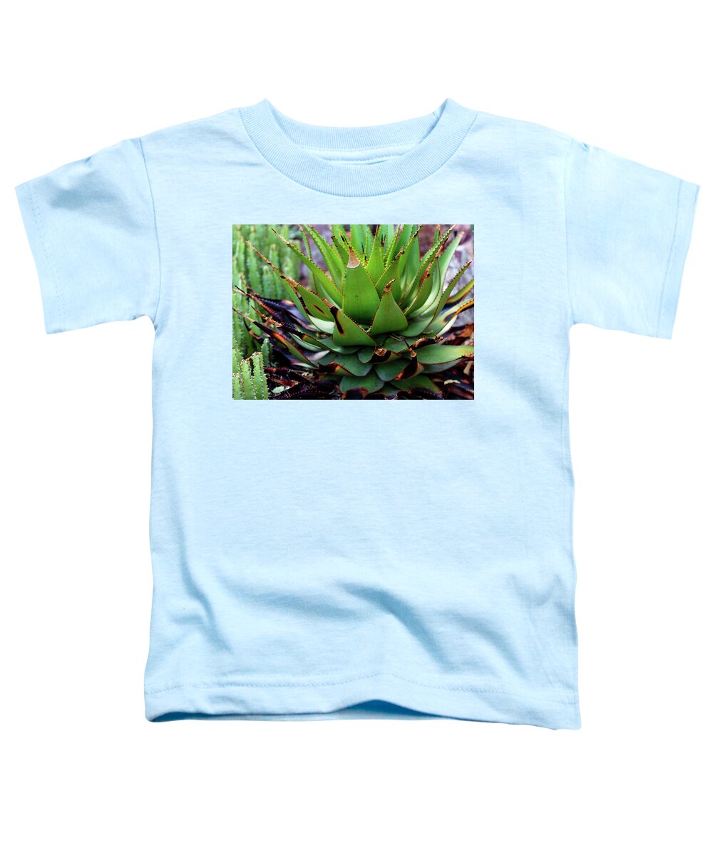 Cacti VI - Toddler T-Shirt