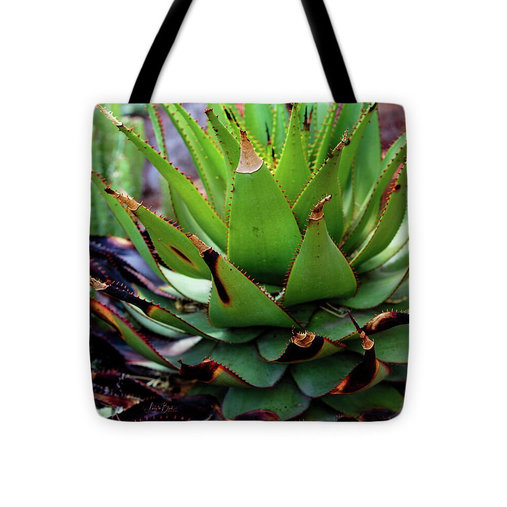 Cacti VI - Tote Bag