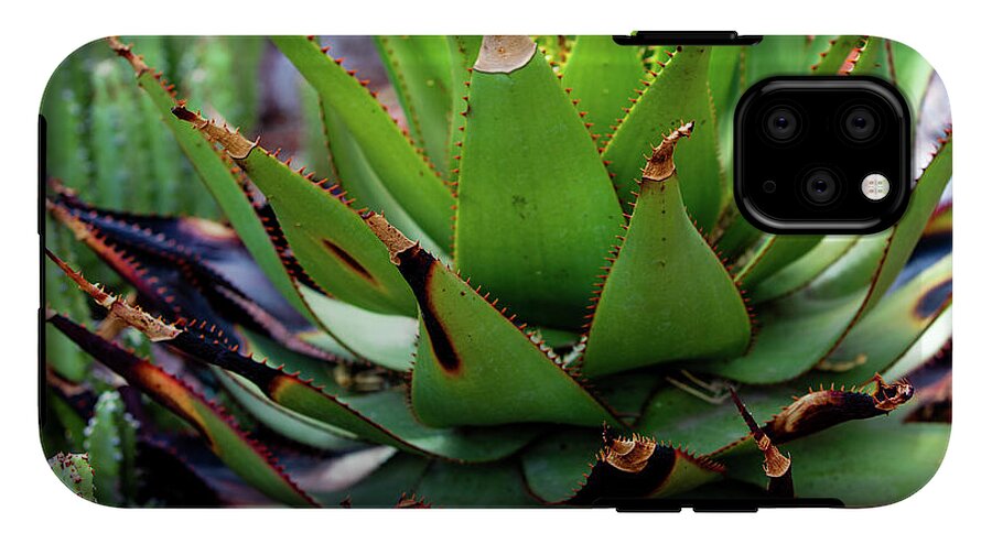 Cacti VI - Phone Case