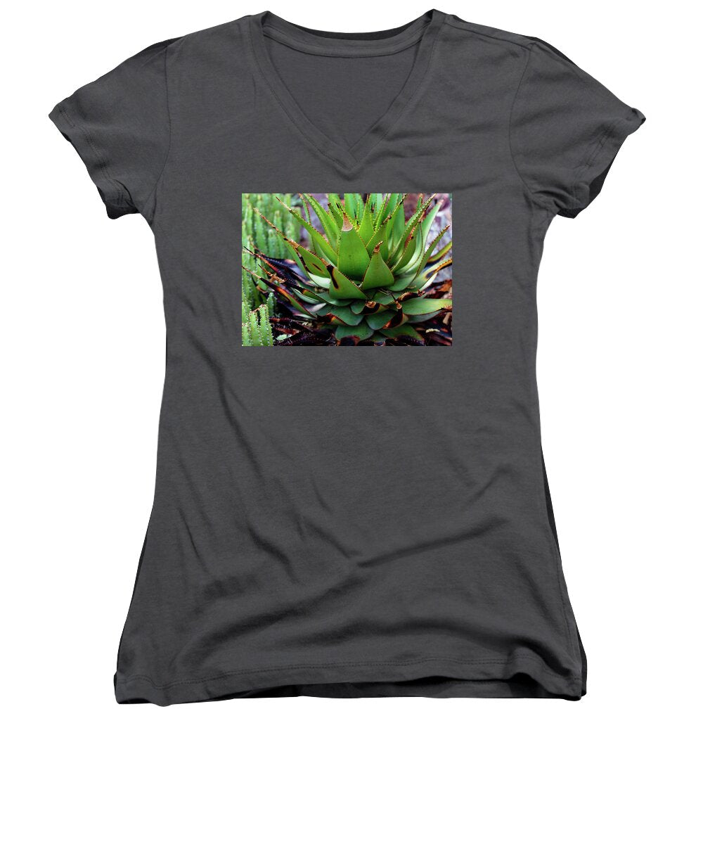 Cacti VI - Women's V-Neck