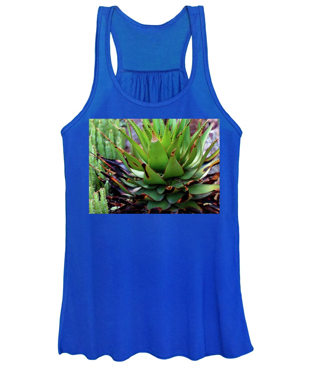Cacti VI - Women's Tank Top