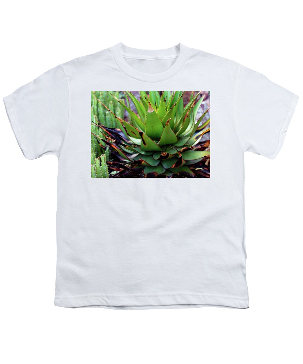 Cacti VI - Youth T-Shirt