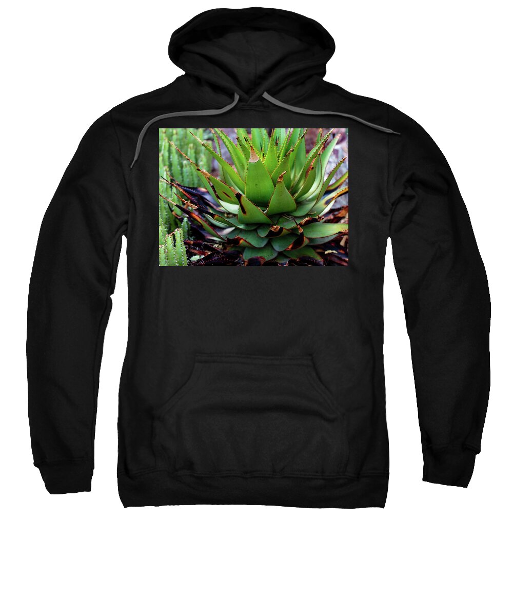 Cacti VI - Sweatshirt