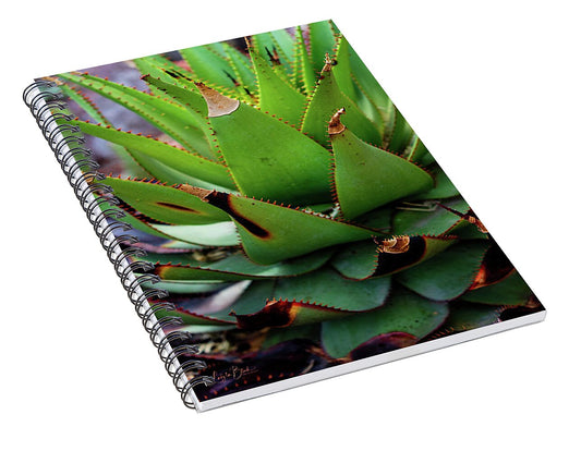 Cacti VI - Spiral Notebook