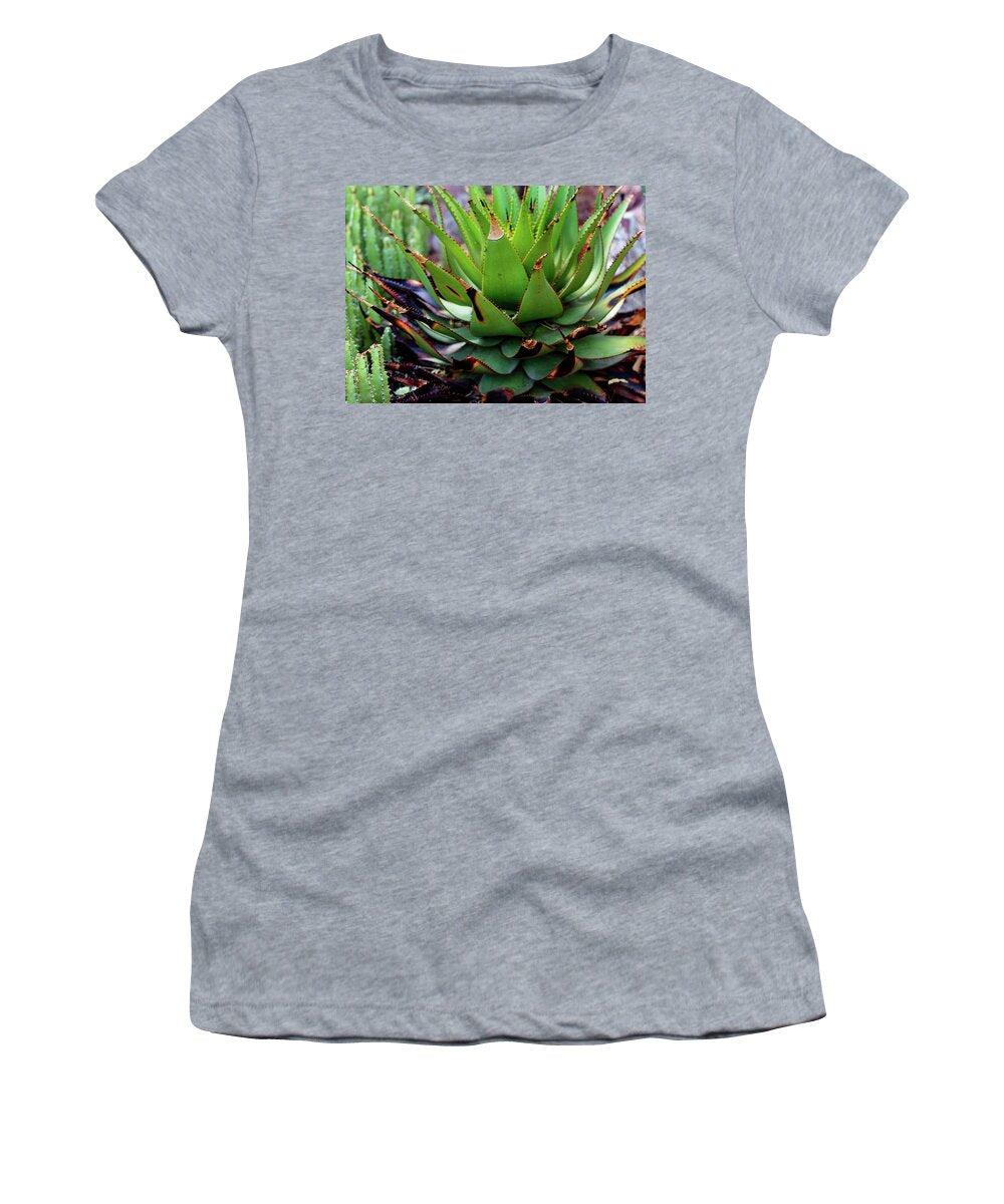 Cacti VI - Women's T-Shirt